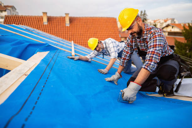 Best Rubber Roofing (EPDM, TPO)  in Susitna North, AK