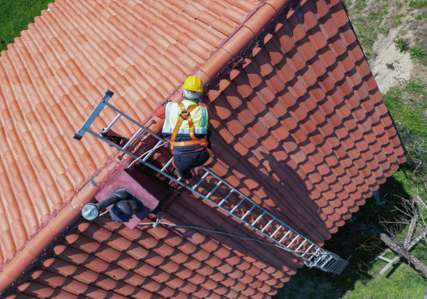 Professional Roofing in Susitna North, AK